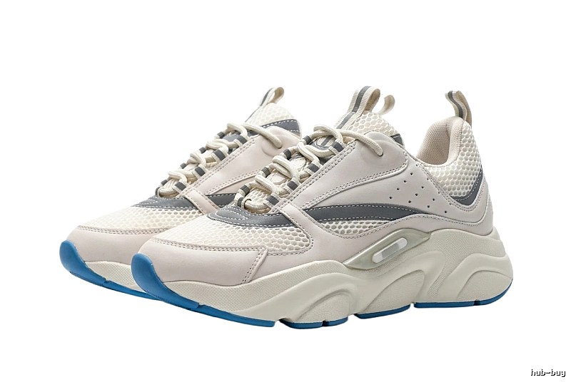 Dior Dad Shoes in Gray, White and Blue Color Scheme